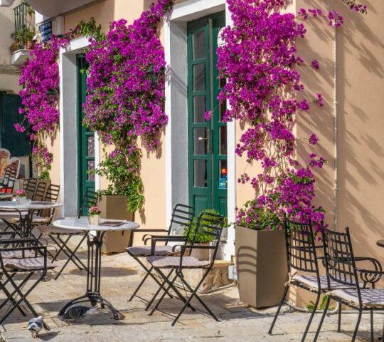 Favela no17 Favela no17